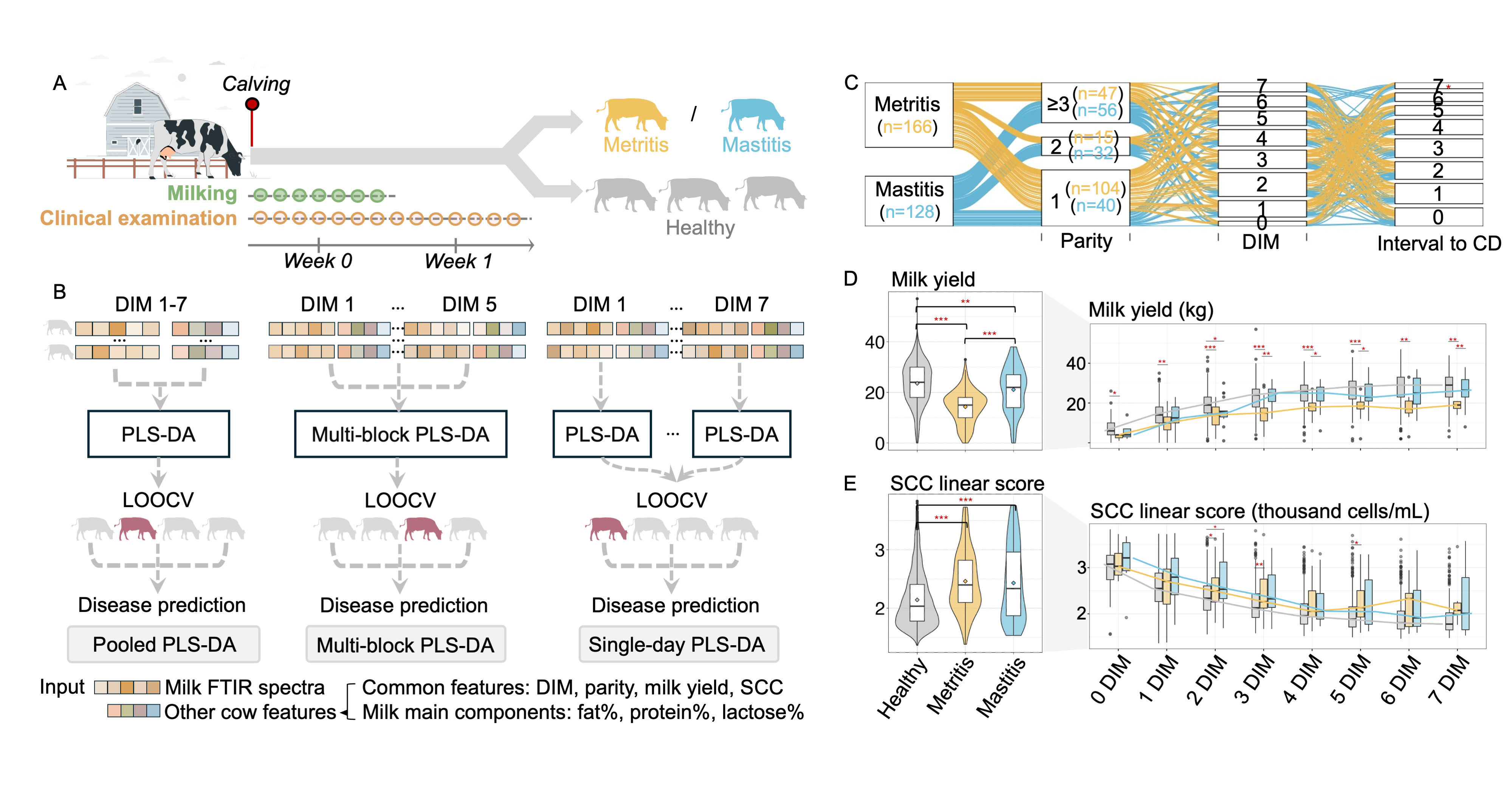 PLS-DA + Repeated LOOCV + Permutation test Visualization